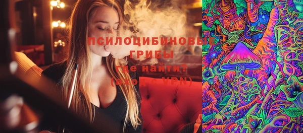 скорость Пересвет